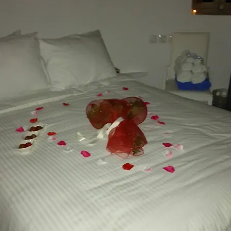 Διαμέρισμα Iriana *