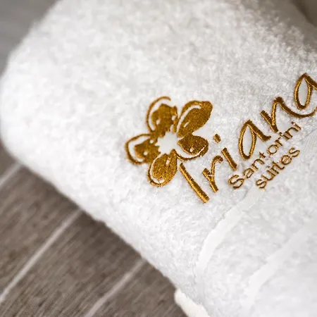 Iriana Suites *